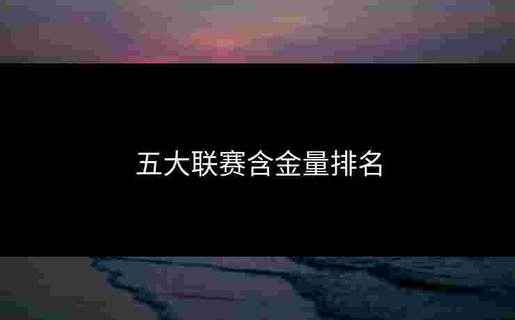 五大联赛含金量排名