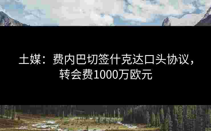 土媒:费内巴切签什克达口头协议,转会费1000万欧元 土媒:费内巴切签什克达口头协议,转会费1000万欧元